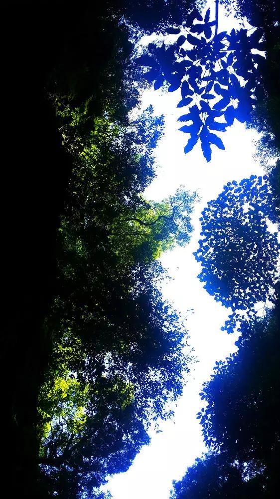 方块无限坠落