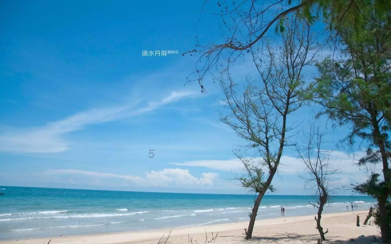 在临淄取景！影片《鸽子起舞》在CCTV-6黄金时段播出