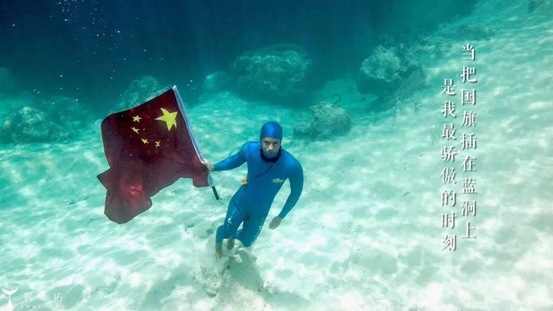 助推乡村振兴，甘肃武都油橄榄产业在沪推介
