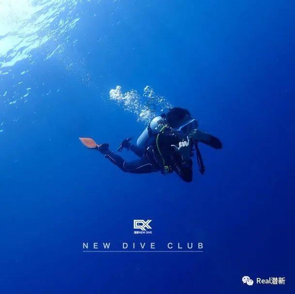 我的英雄学院