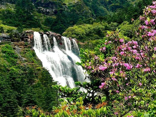僵尸敲方块