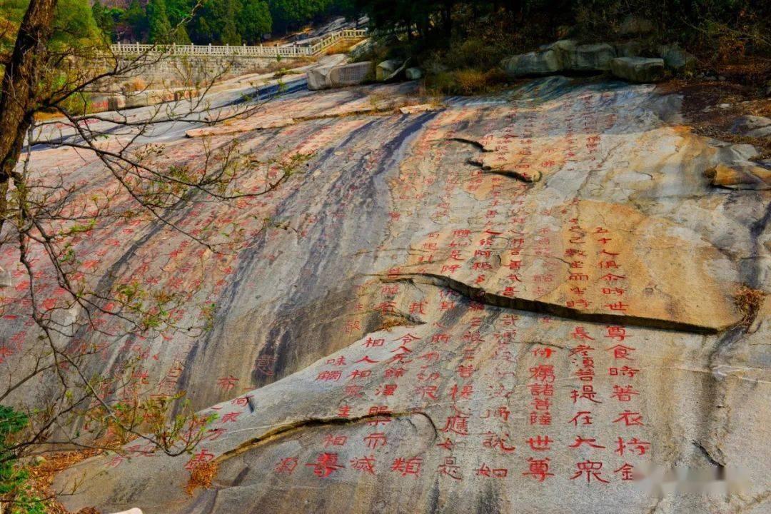 逃离亚洲丛林