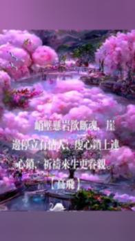 瑞德的冒险之旅中文版